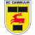เอสซี คัมบูร์